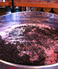 Artesy wine making